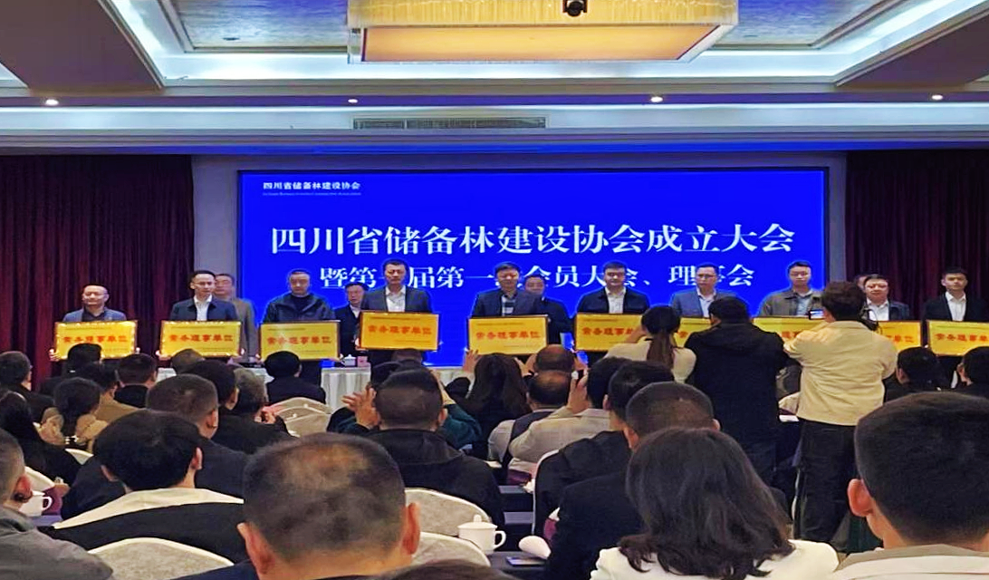 巴中兩山生態(tài)資源資產(chǎn)經(jīng)營(yíng)有限公司榮獲四川省儲備林建設協(xié)會(huì )常務(wù)理事單位稱(chēng)號